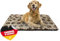 HS-Hundebett® Hundedecke M (65x95 cm) – rutschfest & gemütlich Dank 3 cm Füllung – Perfekt fürs Sofa, Auto & Hundebox – Pfote Beige, Made in DE