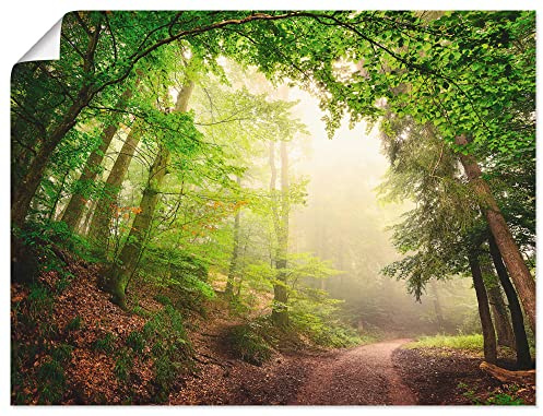 ARTLAND Wanddeko Poster & Kunstdrucke Wandposter 80 x 60 cm Landschaften Wald Foto Grün Natürliche Torbögen durch Bäume B6UU