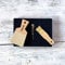 Japanese Traditional Grater for Wasabi and Ginger Made in Japan (with Convenient Brush, Grater Medium Size)