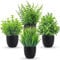 Der Rose Plantas falsas, paquete de 4 plantas artificiales, pequeñas plantas sintéticas, accesorios de baño negros para Halloween, baño, hogar, cocina, mesa de centro, oficina, escritorio, decoración