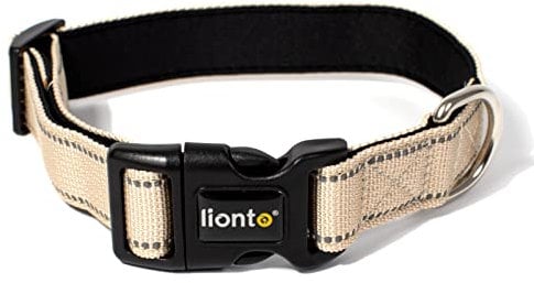 lionto Hundehalsband aus strapazierfähigem Nylon, Größe XL, weiches gepolstertes Halsband für Hunde, 360° reflektierend & Klickverschluss, Metallring & Anpassung durch stufenlosen Schieber, beige