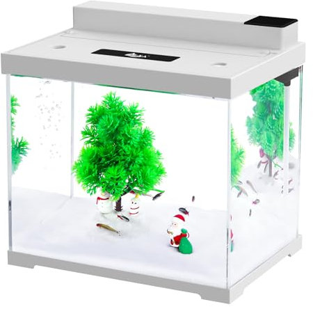 AQQA Fish Tank, 9L Small Glass Aquarium with Double Filtration System, 4 Color LED Lighting, Water Pump