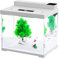 AQQA Fish Tank, 9L Small Glass Aquarium with Double Filtration System, 4 Color LED Lighting, Water Pump