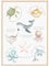 Affirmationsposter für Kinder DIN A3 | Poster positive Glaubensansätze Kinderzimmer | Poster mit Affirmation als Geschenk zur Geburt, Taufe, Kindergeburtstag (Meerestiere & Ozean, DIN A3, Ungerahmt)