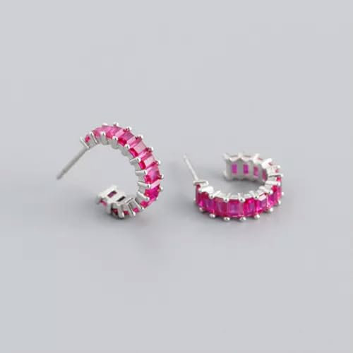 Orecchini a Cerchio Quadrato in Argento 925 con zirconi cubici F1093-K - Argento con Pietra Fucsia