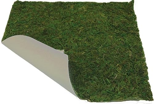 FADEDA Moosplatte/Höhe:1 cm/handbemalt/detailgetreue Krippen Figuren - Weihnachten Tisch Dekoration Krippe Zubehör