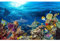 Aquarium-Hintergrund, tropische Fische, buntes Korallenriff, Panorama-Terrarium, Hintergrund, Meeresschildkröte, Hai, blaues Meer, Hintergründe, Unterwasserleben, Meereslandschaft,