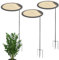 doyandader Pflanzenschatten Regenschirme, Sonnenschirm Für Pflanzen, 3 Packpflanzen Schattenabdeckung Für Outdoor -Pflanzen, Für Blumen Deko Terrasse Balkon Fotohintergrund Garten Hinterhof