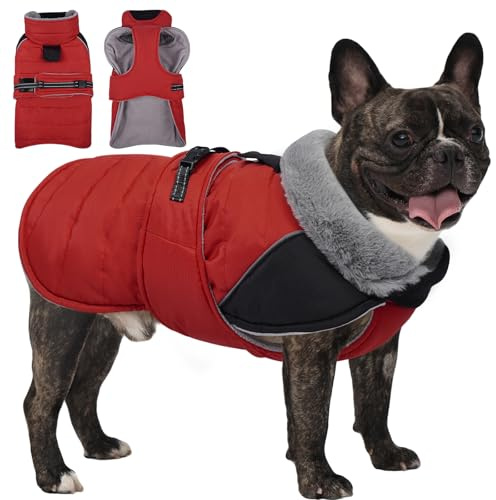 Lelepet Hunde Wintermantel Wasserdicht für Mittelgroße Hunde, Warmer Hundemantel mit Geschirr, Winter Hundeanzug Hund Fleece Jacke, Gemütliche Hundebekleidung für Kaltes Wetter (Rot, M)