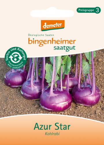 Bingenheimer Saatgut - Kohlrabi Blau Azur Star - Gemüse Saatgut / Samen