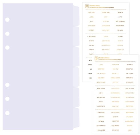 DY.2ten transparent Ordner Trennblätter A6 6 Loch 6 Blätter, Kunststoff Ordner Register A6 Index Teiler für Ringbuch,Notizbuch,Planer(17cm x 9.4cm)