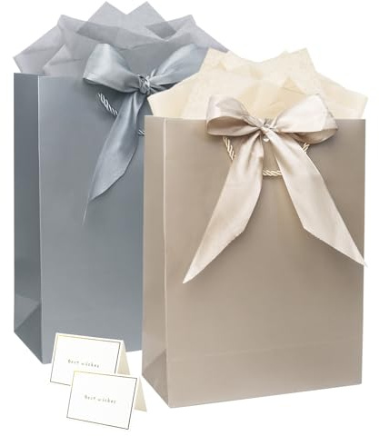 2 Pack Gift Bags Medium with Tissue Paper for Presents 29× 22× 10 cm Paper Bags with Ribbon(Silver, Champagne)