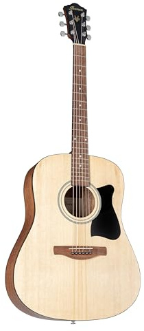 Ibanez Acoustic guitar / V40OPN Standard