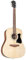 Ibanez Acoustic Gitarre / V40OPN Standard