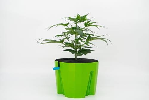 Hydro Farmer, Topf Ø 18 cm (grün), Anzuchtsystem inklusive 1x Topf, 1x Bewässerungsring, 1x Deckel, Hydrokultur, Aeroponik
