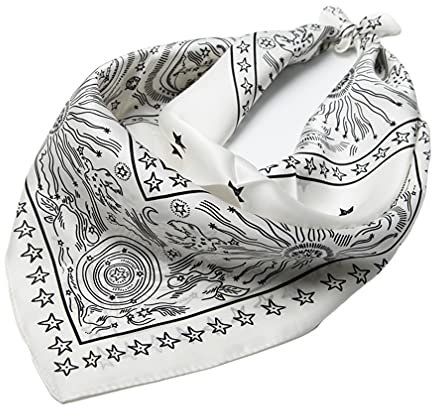 UK_Stone Herren 100% Seide Bandana Halstuch Krawatte Anzug Taschenhandtuch 50 * 50cm (Meteorregen Weiß)
