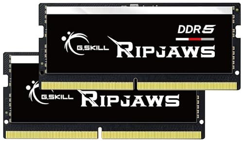 G.SKILL Ripjaws DDR5 SO-DIMM Series DDR5 RAM 32GB (2x16GB) 4800MT/s CL40-39-39-76 1.10V Unbuffered Non-ECC Notebook/Laptop Memory SODIMM (F5-4800S4039A16GA2-RS)