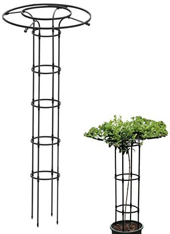 Cyhamse Plant Trellis Indoor,Umbrella Vertical Plant Trellis - Vine Supports Plant Tower for Climbing Vines and Flowers Stands