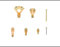 Picture Hanging Kit for Mirror & Hard Walls with Nails- 56 Pieces Golden