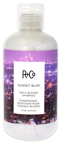 R+Co Sunset Blvd Blonde Shampoo für Unisex 8,5 oz Shampoo