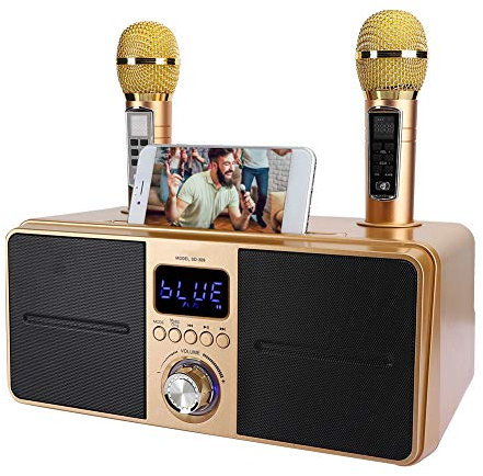 Bewinner1 KTV Kit Bluetooth Karaoke Lautsprecher, Karaoke Ausrüstung mit Doppelmikrofon für zu Hause, AUX USB Universal Video Mehrzweckgerät für Telefon/Tablet/PC, 2 drahtlose Karaoke Mikrofone