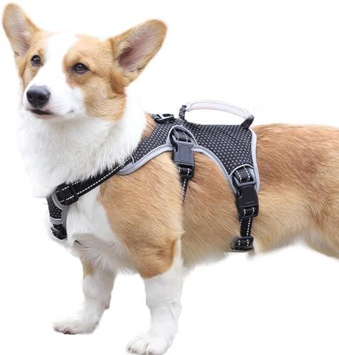 Paworld Sicherheitsgeschirr Hund Ausbruchsicher, Panikgeschirr für Hunde, Mehrzweck-Hundegeschirr, Reflektierend, Verstellbare Weste mit Griff, Hundegeschirr für Große/Mittelgroß Hunde (Schwarz, M)