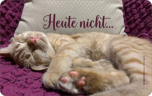 Katze - Frühstücksbrettchen - heute nicht