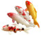 Homoyoyo 4 Stück Künstliche Koi-Karpfen Und Goldfische Deko - Realistische Kunststoff Fische Für Teich Und Aquarium Ideal Als Landschaftsdekoration Und Fotografie Requisite
