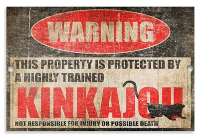 Lustiges Kinkajou-Warnschild, Wandkunst, Gemälde, Leinwanddrucke, Poster, Kunstwerk für Wohnzimmer, Schlafzimmer, Badezimmer, Büro, Heimdekoration, 30 x 45 cm