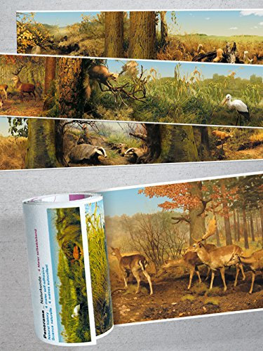 Panorama-Borte NATURKUNDE · Tapete · Bordüre · Keine Motivwiederholung. einfach an die Wand zu bringen, da selbstklebend! … (Naturkunde)