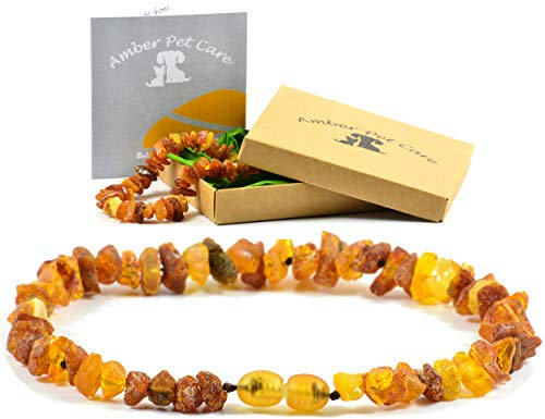 AmberPetCare Bernsteinkette für Hunde und Katzen aus Roh Baltischer Bernstein (22)