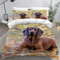 MEVASA Kinder Bettwäsche Bayerischer Gebirgshund Hund Tier Bettwäsche 155x220 Mädchen Junge Hypoallergen Flauschige Bettwäsche Set 3 Stück Mikrofaser Kinder Bettbezug mit Reißverschluss