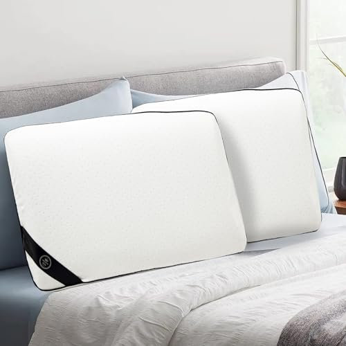 SAMPUR - Oreiller Caresse | Mousse à mémoire de Forme Microperforée & Ventilée | Housse hypoallergénique et Lavable | Maintien Optimal de la Nuque (40x70 cm)