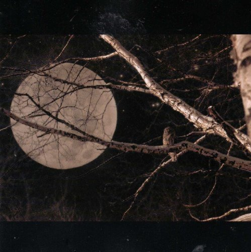 Musiques De Nuit Vol 3
