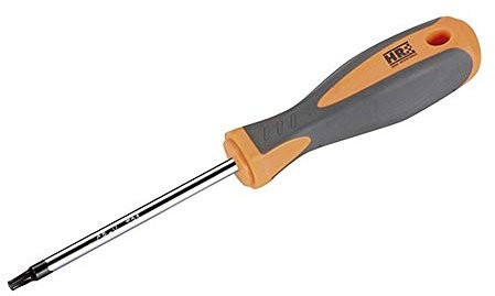 RH 170442 Destornillador Torx, Gris/Naranja, T20 x 100 mm