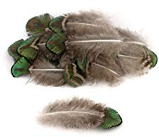 20 Pfauenfedern 4-8cm // Dekofedern Schmuckfedern Basteln Federn Pfau Vogelfedern