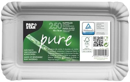 250 Assiettes, carton pure rectangulaire blanc 10 cm x 16 cm