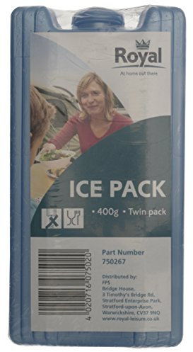 EZetil High Performance 2er-Set Kühlakkus, mit 2 x 220g Kühlelementen für die Kühltasche oder Kühlbox bei Outdooraktivitäten oder Campingausflügen, türkis