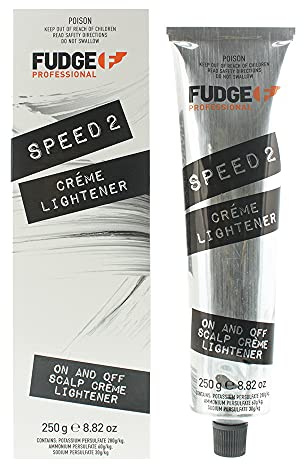 Fudge 100106006