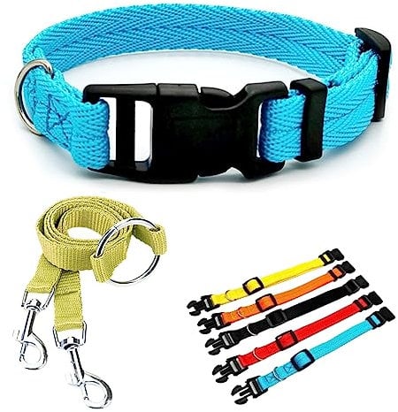 : GaoBangM Nylon Dog Collars, 1 Pcs Collar+1 Pcs Double Lock Pet Traction Rope, Safety Buckle-Adjustable and durable, suitable for Small and Medium Dogs, Blue, 2cm Width,L