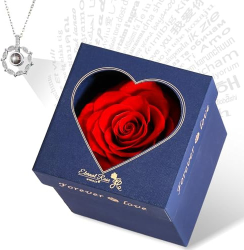 WYRIAZA Ewige Infinity Rose Kette - Rosenbox Rote Konservierte Echt Unendliche Haltbare Geschenke Frauen Mama Frau Freundin Ehefrau Geburtstag Jahrestag Weihnachten Valentinstag Muttertag Blumenbox