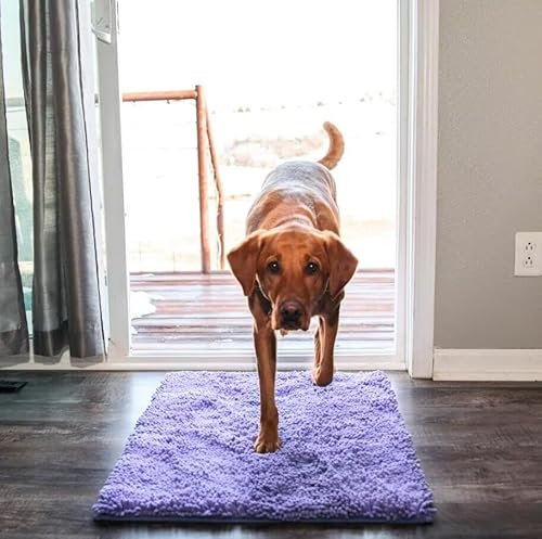 SWZEC Premium cleany mat hundematte