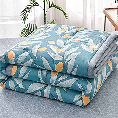 Chickwin Tagesdecke Bettüberwurf Gesteppt, Einfach Blumen Tagesdecke Schlafzimmer Steppdecke Decke Überwurf Wohnzimmer Sofaüberwurf für Einzelbett Doppelbett (200x230cm,Blauer See)