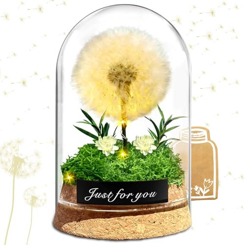 SaiXuan Wunschlicht Pusteblume im Glas, LED Nachtlicht, Geschenk Geburtstag Frau | Romantische Dekoration | Valentinstag | Muttertag, Geschenk für Freundin, Mutter, Beste Freundin