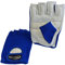 Best Body Nutrition Power Handschuh, Mehrfarbig (blau), L
