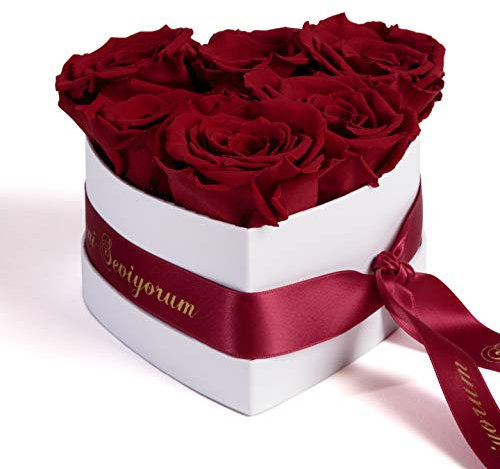ROSEMARIE SCHULZ Heidelberg Infinity Rosenbox in Herzform konservierte Rosen Geschenk für Frauen (Seni Seviyorum, Burgundy)
