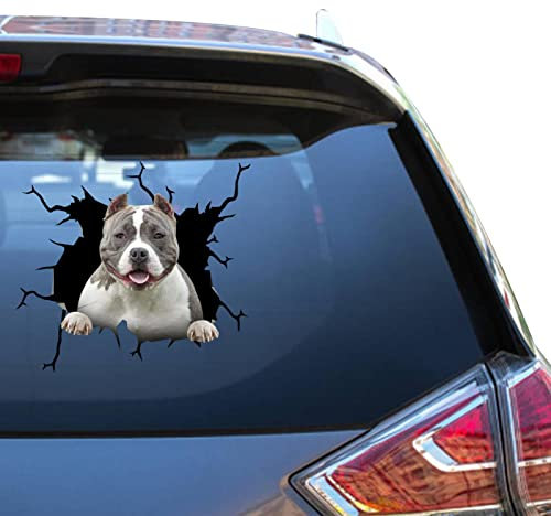 American Bully Gifts American Bully Aufkleber Vinyl Automotive Atickers für Tierkühler, Auto-Aufkleber