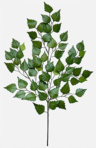 Seidenblumen Roß 12 Stück Birkenzweig 70cm mit 60 Blättern DA künstlicher Zweig Birke