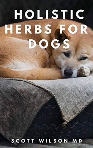 HOLISTIC HERB FOR DOGS: All You Need To Know About Medicinal Plants And Holistic Herbs For Dogs (English Edition)