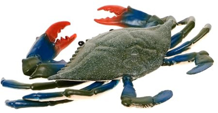 Vaguelly Tiermodell Pädagogisches Spielzeug für Kinder Meerestier Spielzeug für Kinder Mini-Banjo Lobster Kuscheltier Kinderspielzeug Krabbenmodell Spielzeug Desktop-Dekoration fest